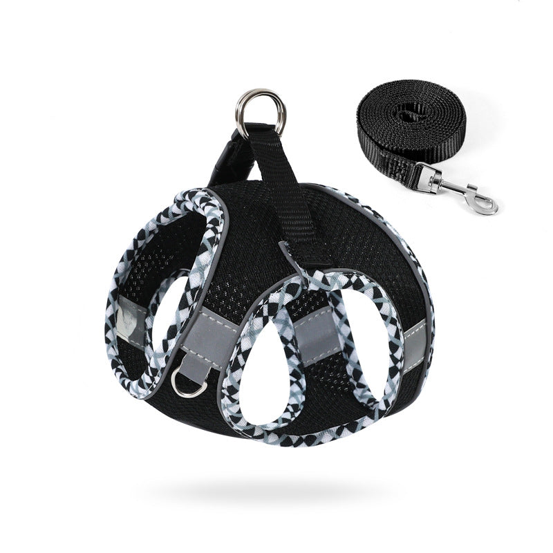 Comfortable No-Pull Harness and Leash for Happy Walks