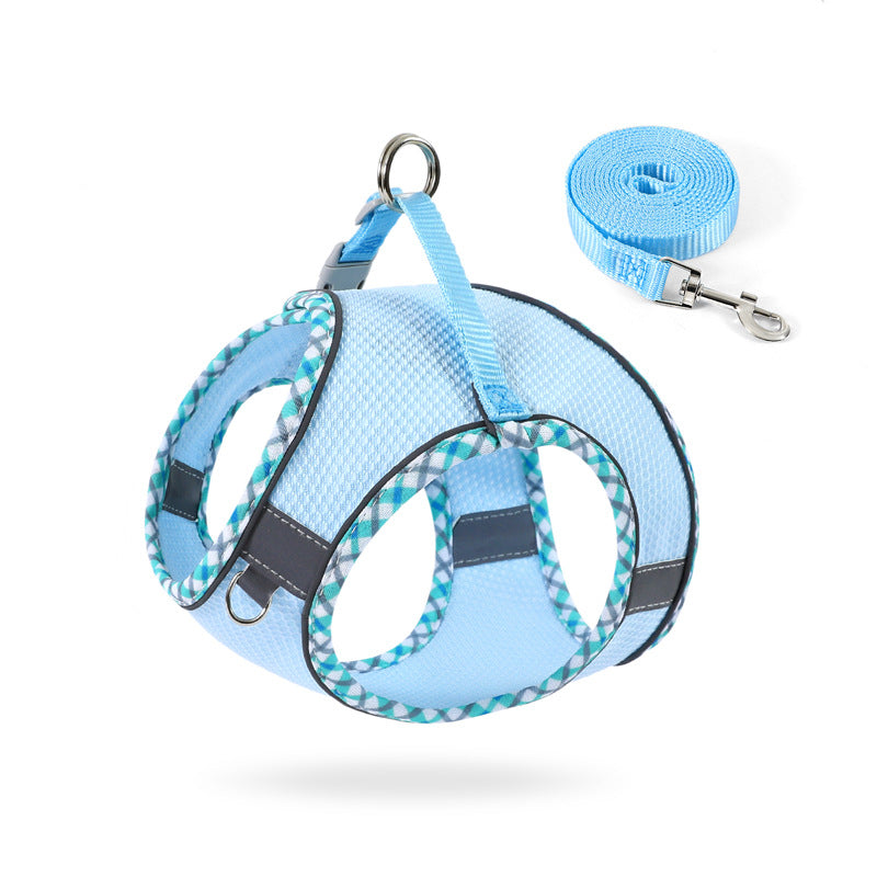 Comfortable No-Pull Harness and Leash for Happy Walks