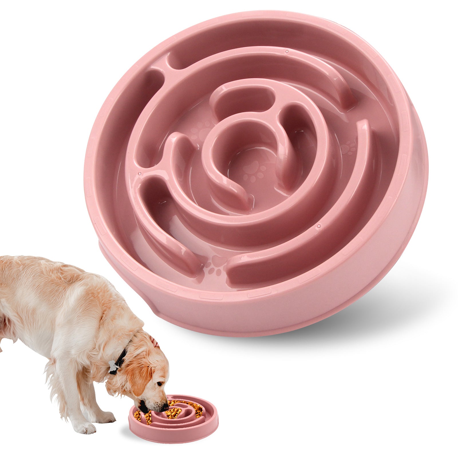 Slow & Steady Feeder for Better Dog Digestion