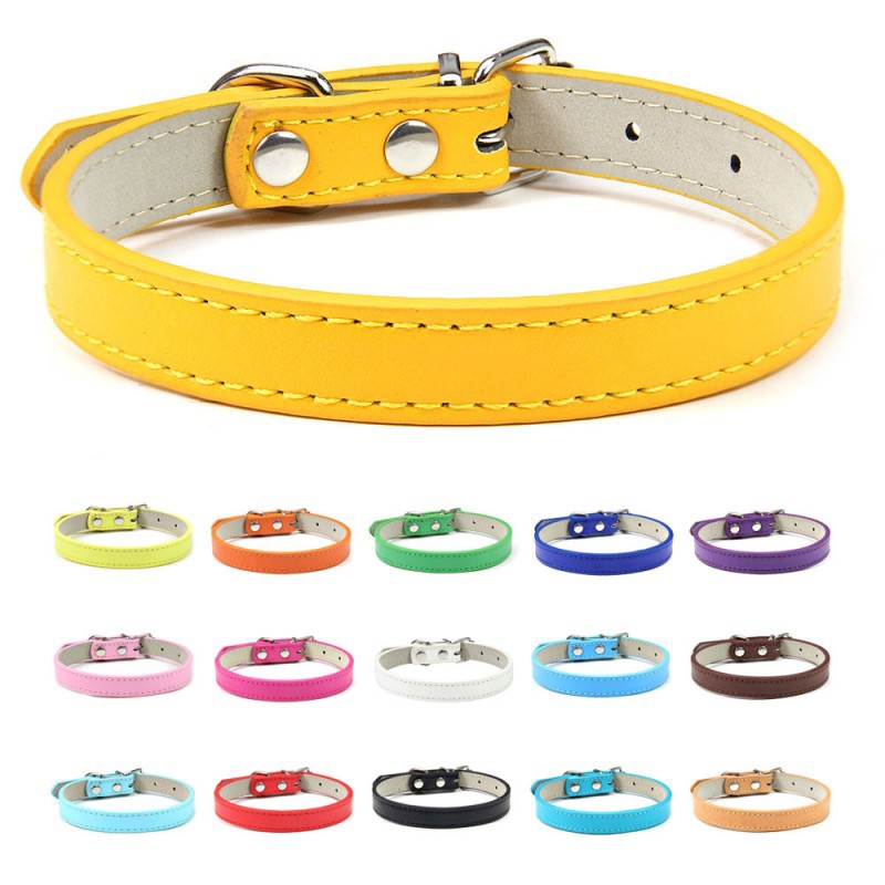 Premium Leather Collar for Confident Happy Pets