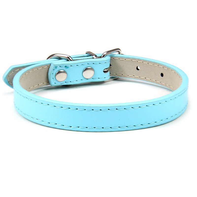 Premium Leather Collar for Confident Happy Pets