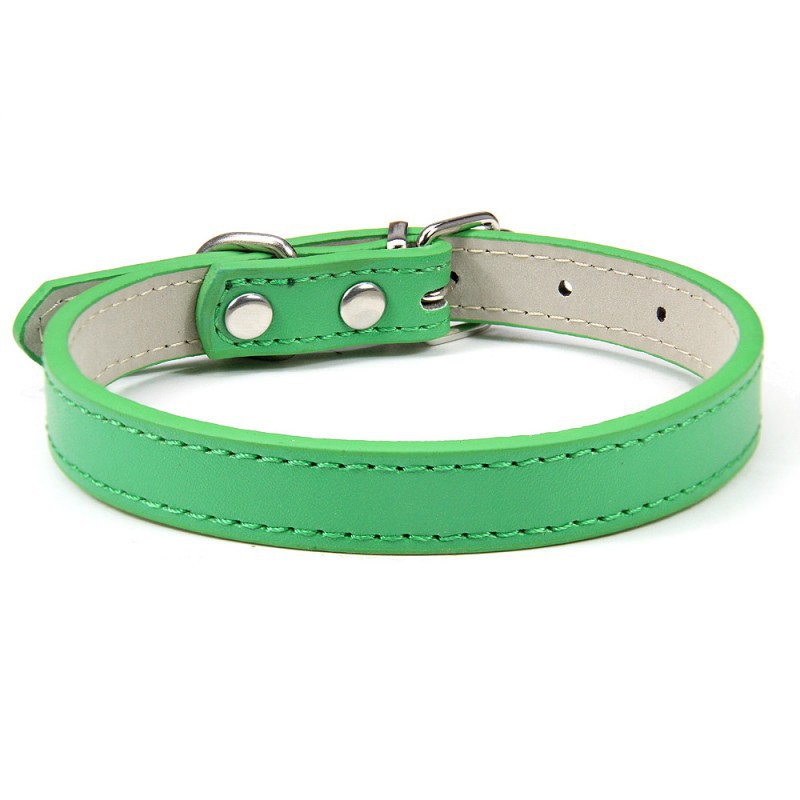 Premium Leather Collar for Confident Happy Pets