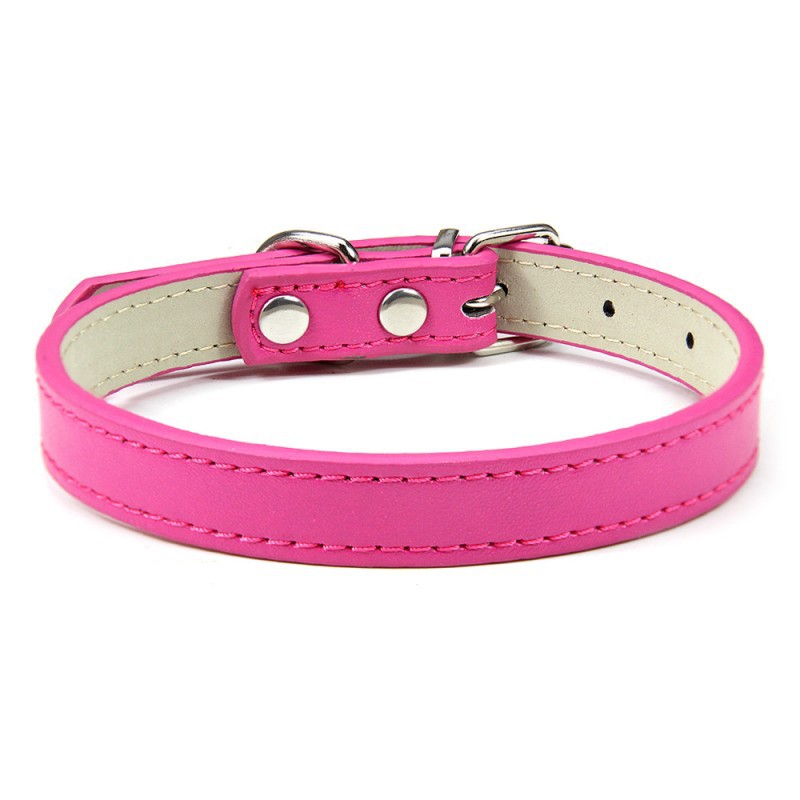 Premium Leather Collar for Confident Happy Pets