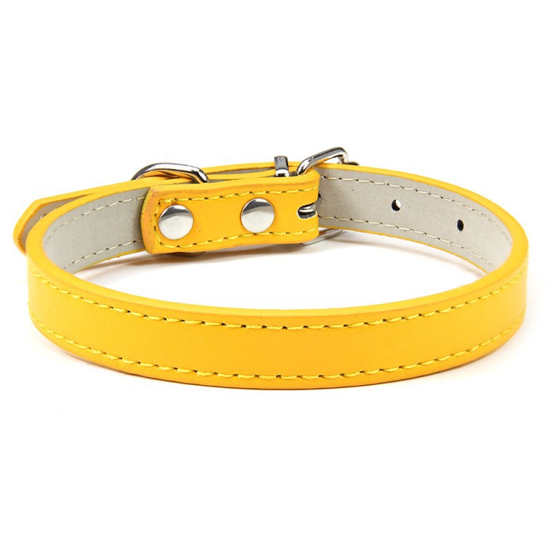 Premium Leather Collar for Confident Happy Pets