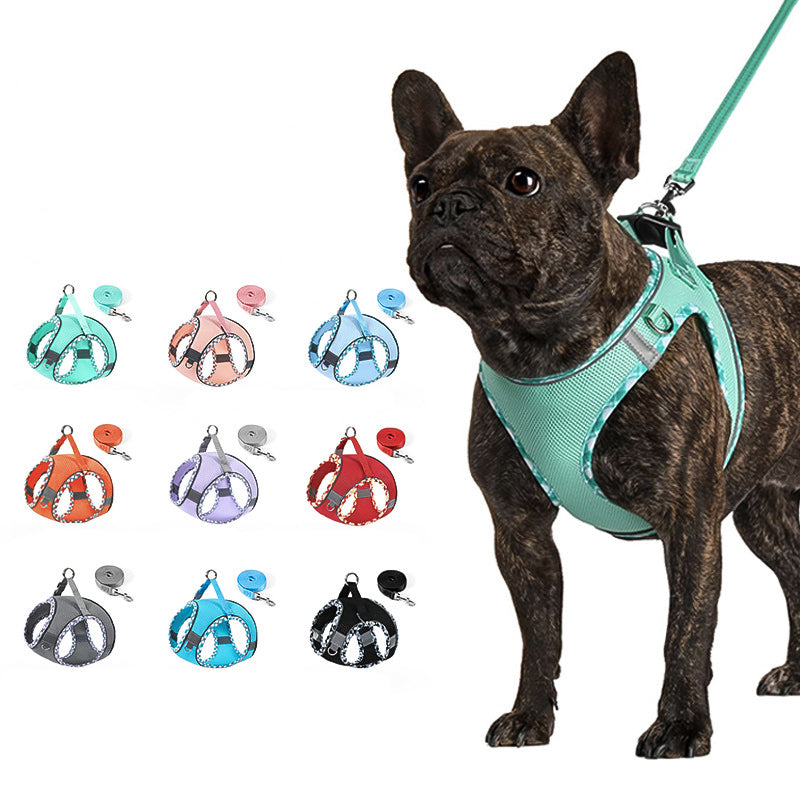 Comfortable No-Pull Harness and Leash for Happy Walks