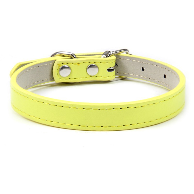Premium Leather Collar for Confident Happy Pets