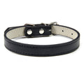 Premium Leather Collar for Confident Happy Pets