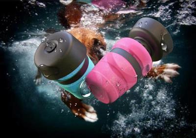 QuickSip Dog Bottle for Easy Outdoor Hydration