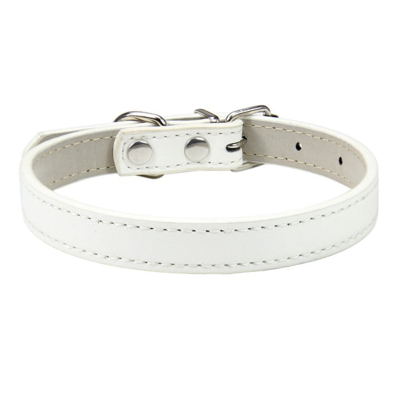 Premium Leather Collar for Confident Happy Pets