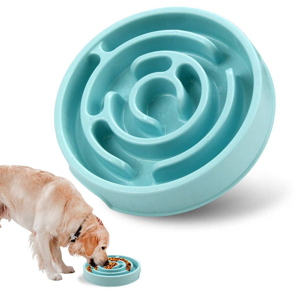 Slow & Steady Feeder for Better Dog Digestion