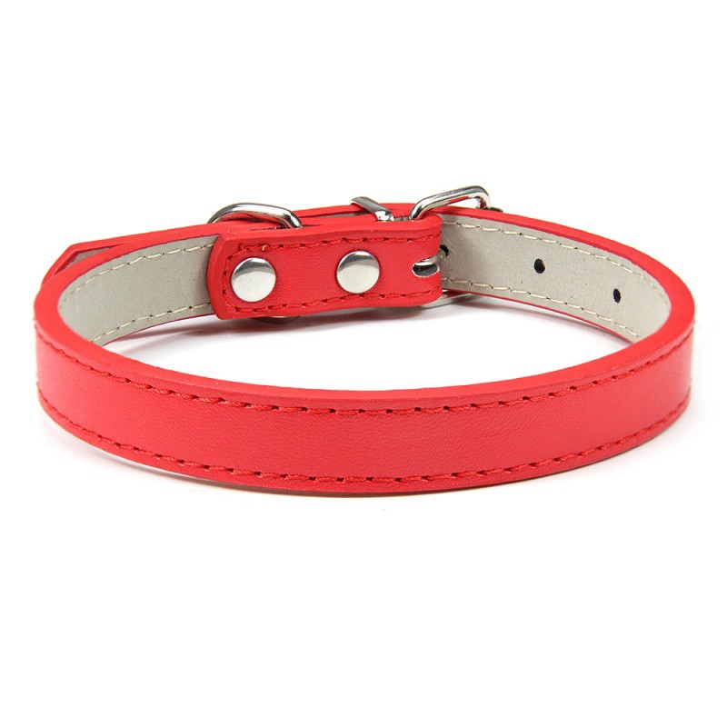 Premium Leather Collar for Confident Happy Pets