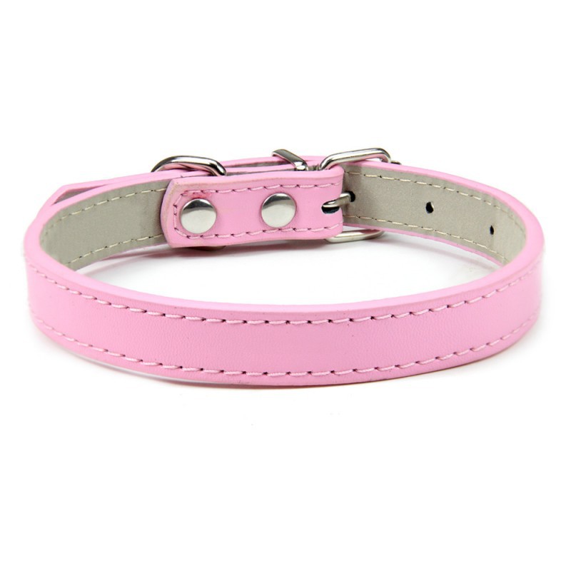 Premium Leather Collar for Confident Happy Pets