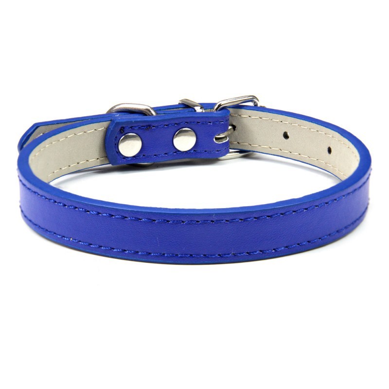 Premium Leather Collar for Confident Happy Pets