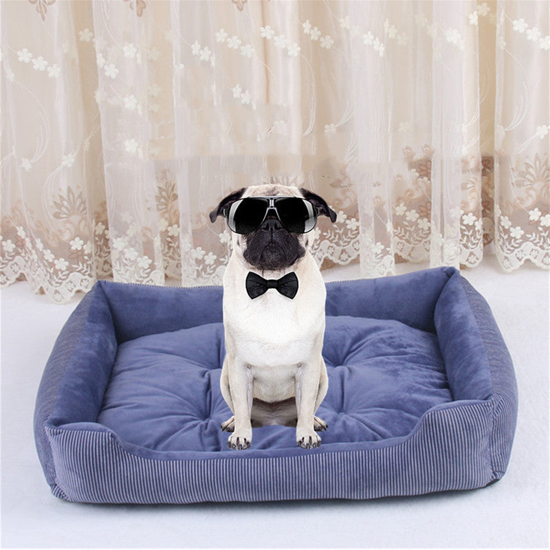 CloudSoft Haven Bed for Big Happy Dogs
