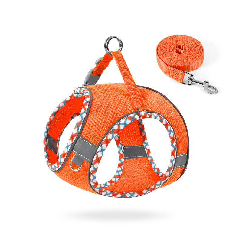 Comfortable No-Pull Harness and Leash for Happy Walks