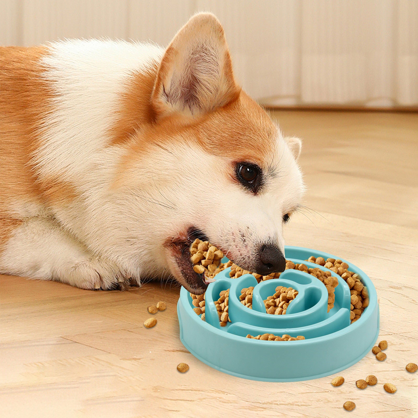 Slow & Steady Feeder for Better Dog Digestion