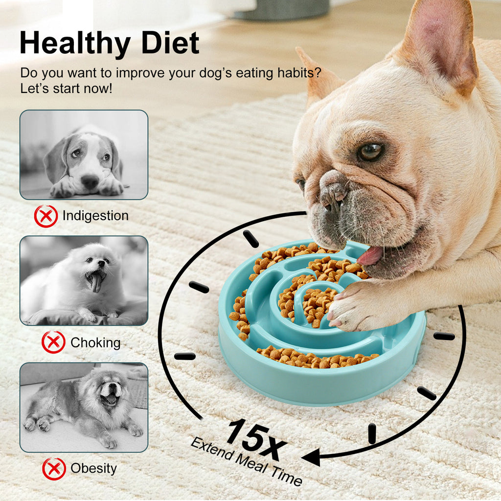 Slow & Steady Feeder for Better Dog Digestion