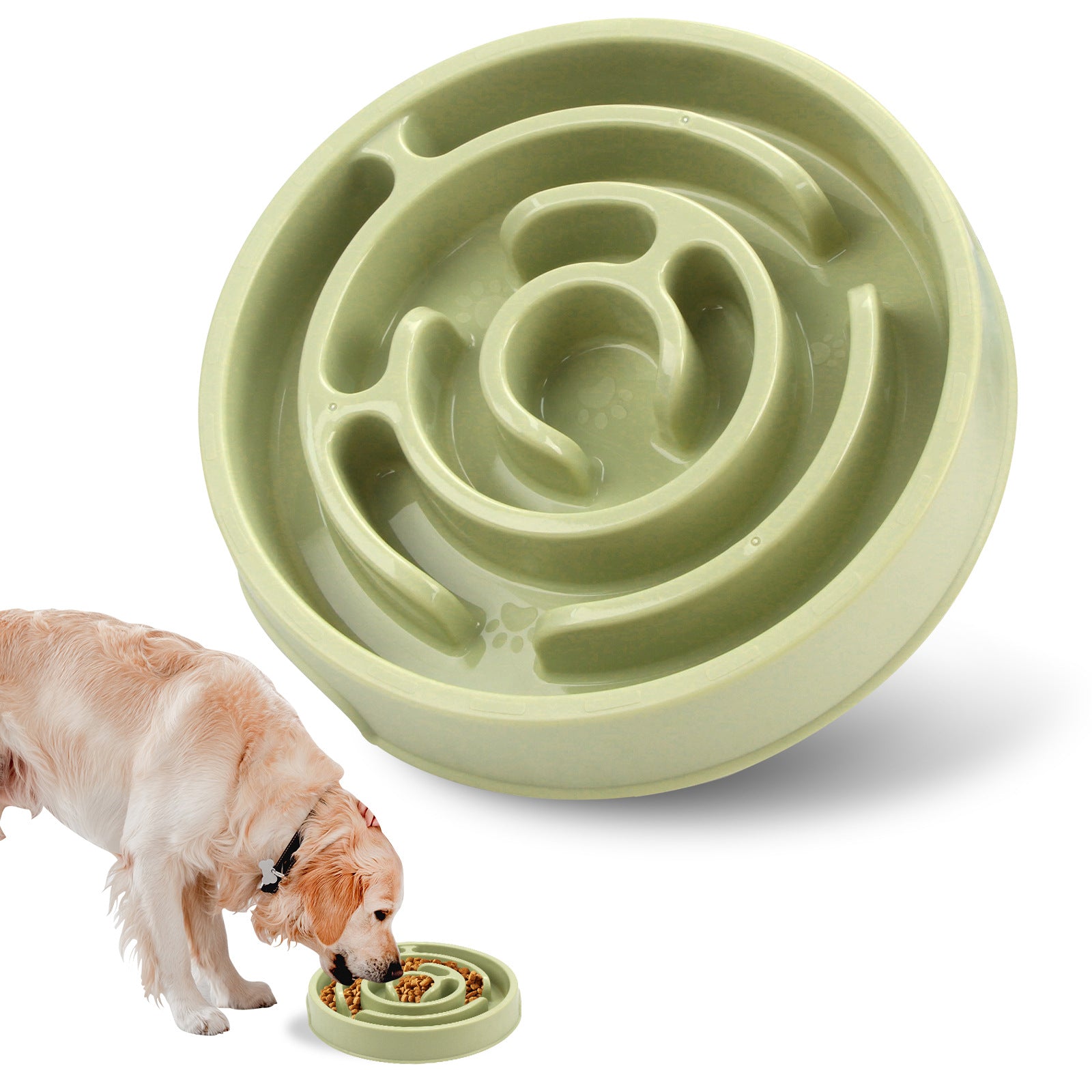 Slow & Steady Feeder for Better Dog Digestion