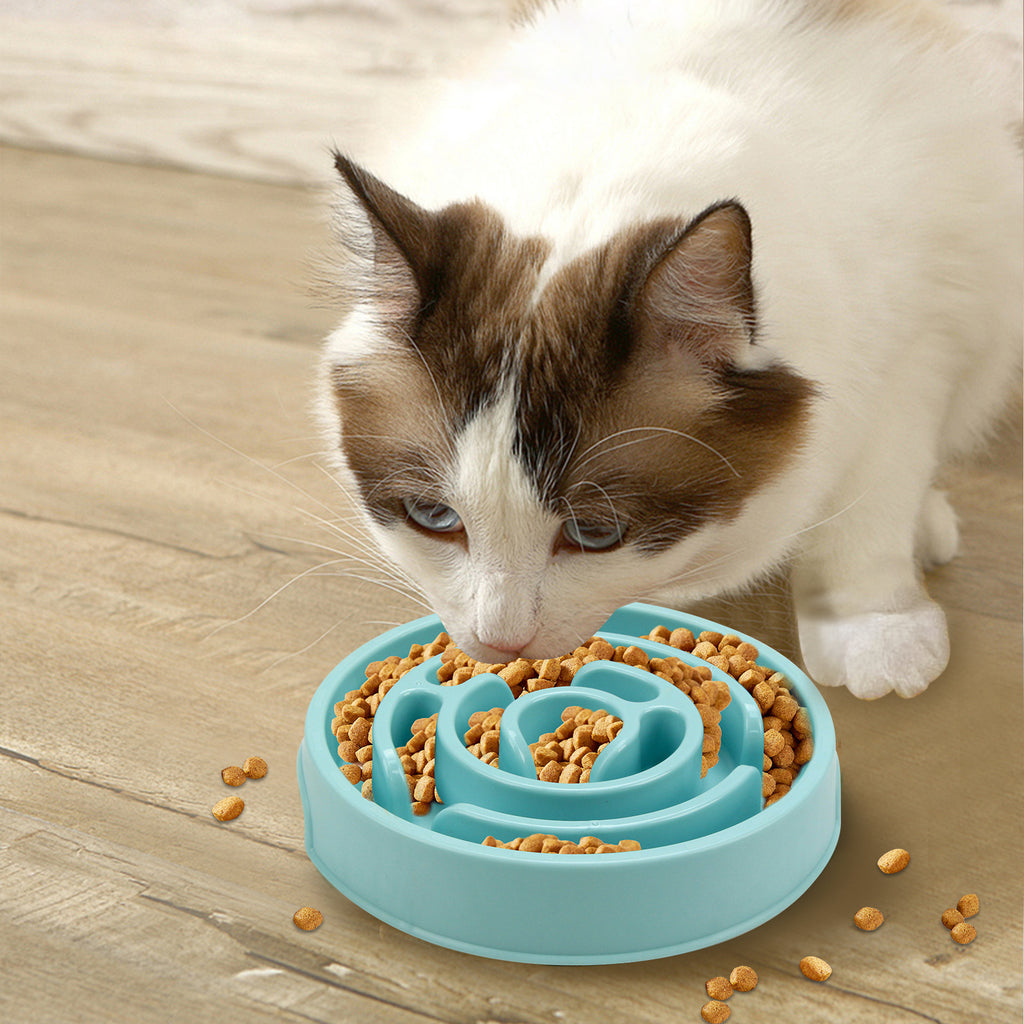 Slow & Steady Feeder for Better Dog Digestion