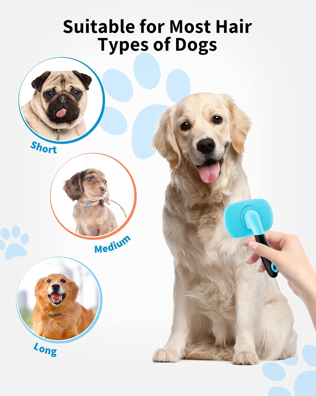 Effortless Grooming Brush for Dogs and Cats You’ll Love