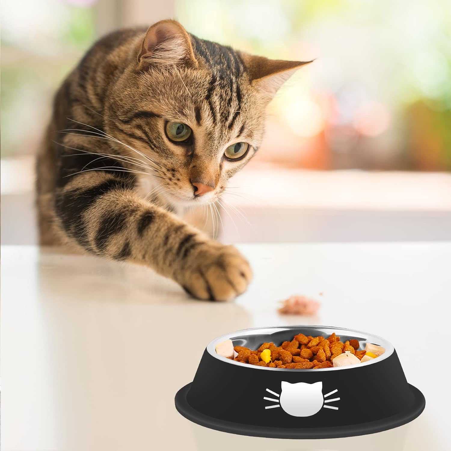 Stable, Spill-Free Cat Bowls for Easy Feeding