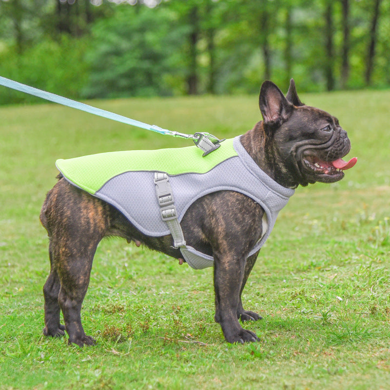 Heat-Resistant Dog Vest for Safe Summer Adventures